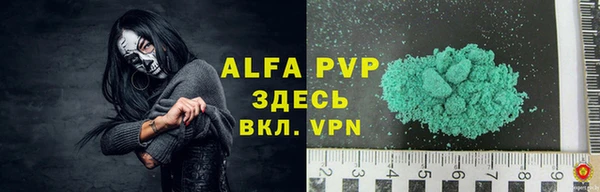 шишки Новодвинск