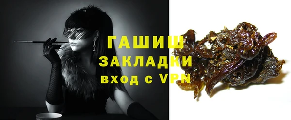 шишки Новодвинск