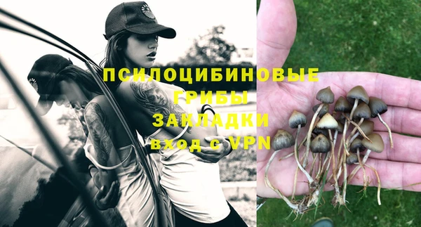 стафф Нефтекумск