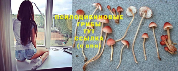 PSILOCYBIN Видное