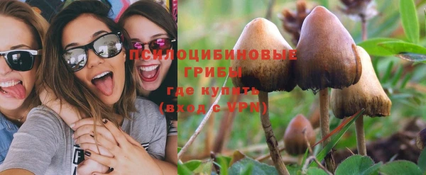 твердый Весьегонск
