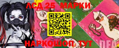 шишки Беслан