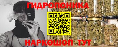 шишки Беслан