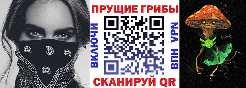 Псилоцибиновые грибы прущие грибы  Рославль 