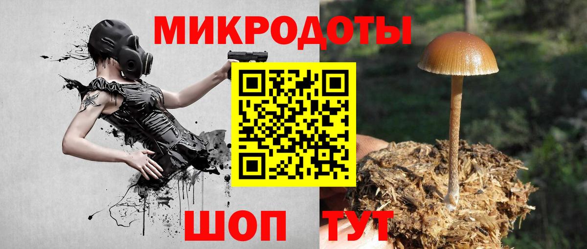 Галлюциногенные грибы GOLDEN TEACHER Рославль