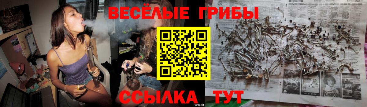 Рославль  Псилоцибиновые грибы MAGIC MUSHROOMS  Псилоцибиновые грибы прущие грибы  Вход с VPN 